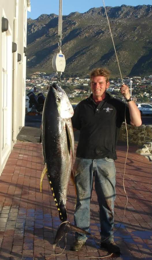 Yellowfin tuna landed on a full day charter