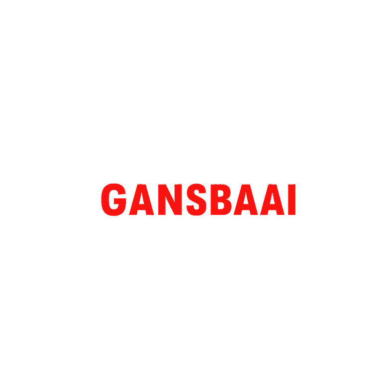 Gansbaai Fishing Charters logo